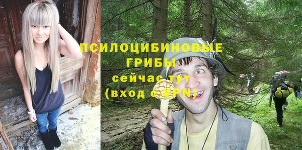 мет Белокуриха